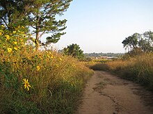 Mwinilunga, Zambia