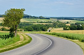 Paysage vers Villebois-Lavalette, dans le sud.