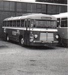 Scania-Vabis bus met Hainje-carrosserie, bouwjaar 1952, van de Noord-Westhoek bus 52.