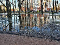 В верхней части парка около южной границы. Из-за того что парк практически не убирают, такого размера лужи в нём стоят неделями (апрель 2023 г.).