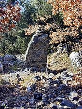 Dolmen des Collets