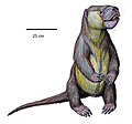 Psittacotherium