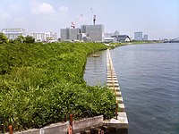 隅田川に設けられたワンド （東京都荒川区）