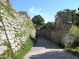 Part of the walls of Troy