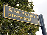 Artikel: Allan Kanje