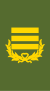 Colonel