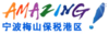 梅山保税港区官方图章