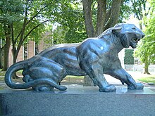 A picture of a tiger statue on Princeton's campus