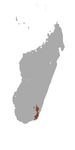 répartition de Hapalemur meridionalis