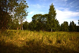 Dernford Fen, Cambridgeshire