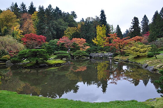 Seattle Japanese garden