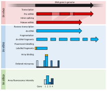 Transcriptomics technologies