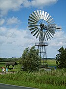 Windrad zur Entwässerung (Lobbe, Rügen)