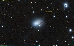 NGC 3125