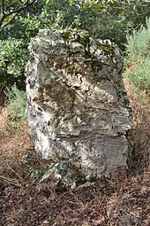 Menhir des Cohardais