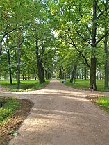 Частично восстановленная центральная аллея в верхней части парка, вид от усадьбы на бывш. Максимовскую ул. (сентябрь 2024 г.).