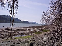 La baie du Ha! Ha! à marée basse