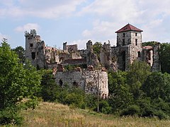 Château de Tenczyn.