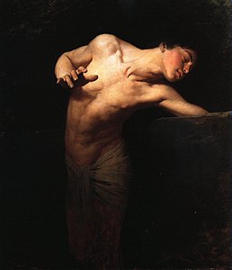 Narcissus