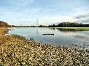 Pleckenbrink-meer Wickede bij Dortmund