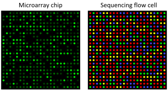 Transcriptomics technologies