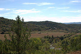 Photographie d'une plaine entourée de monts couverts de pins.