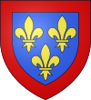 Blason