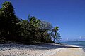 Praia de Nikumaroro