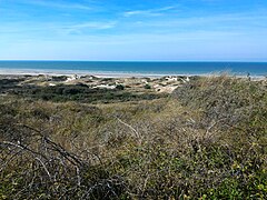 Les dunes d'Écault.