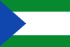 Flag of Puerto Triunfo