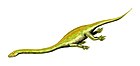 Dinocephalosaurus orientalis