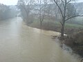 Hochwasser führender Hergstbach an der Mündung. Das stärker gefärbte Hergstbachwasser ist noch einige Meter nach dem Zusammenfluss erkennbar (Dezember 2009).