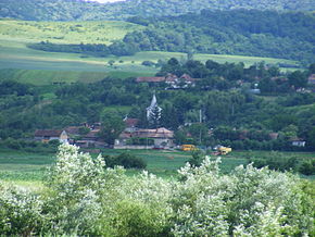 Căptălan