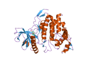 1z57: Crystal structure of human CLK1 in complex with 10Z-Hymenialdisine