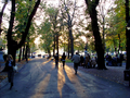 Der Veliki Kalemegdan im Stadtteil Stari grad