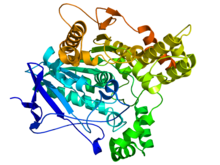 Estructura tridimensional de una acetilcolinesterasa