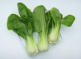 Green bok choy