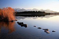 89. Platz: Susanne Deinhardt mit Hopfensee bei Füssen im Abendlicht. Landschaftsschutzgebiet „Forggensee und benachbarte Seen“.