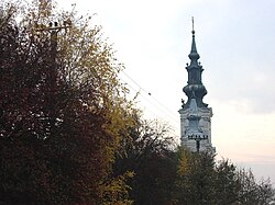 The Orthodox church.