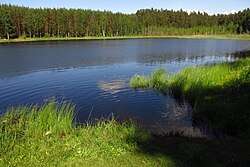 Õdrin järvi Karulan kansanpuistossa