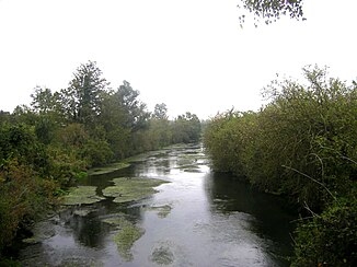 d’ Vesle bii Muizon, zwìscha Reims un Fismes