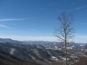 Snowfall; January, 2011