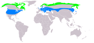 Natura arealo; verde = reproduktaj teritorioj; blue = Vintrejoj