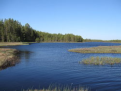 Järveä lounaisrannan kapeikosta koilliseen