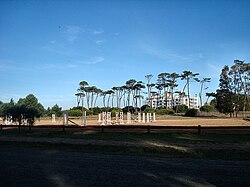 Centro Hípico in Parque Carrasco.