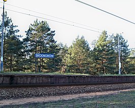 Station Śródborów