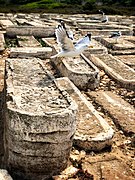 Tombstones of the new cemetery