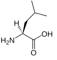 L-leucin (Leu / L)