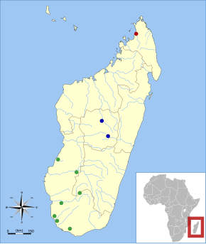 Description de l'image Mesopropithecus range map.svg.