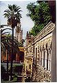 Vista della Giralda dal giardino dell'Alcázar.